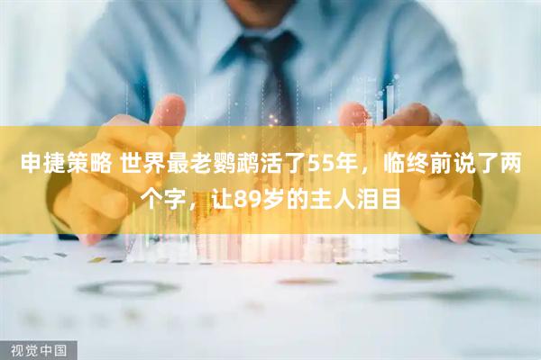 申捷策略 世界最老鹦鹉活了55年，临终前说了两个字，让89岁的主人泪目
